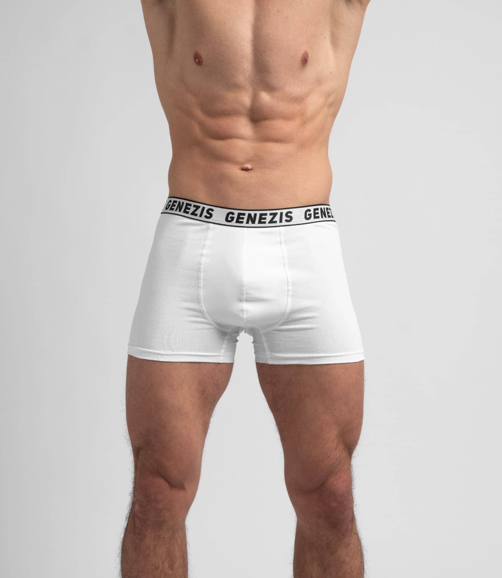 Men's boxer shorts "Genezis"