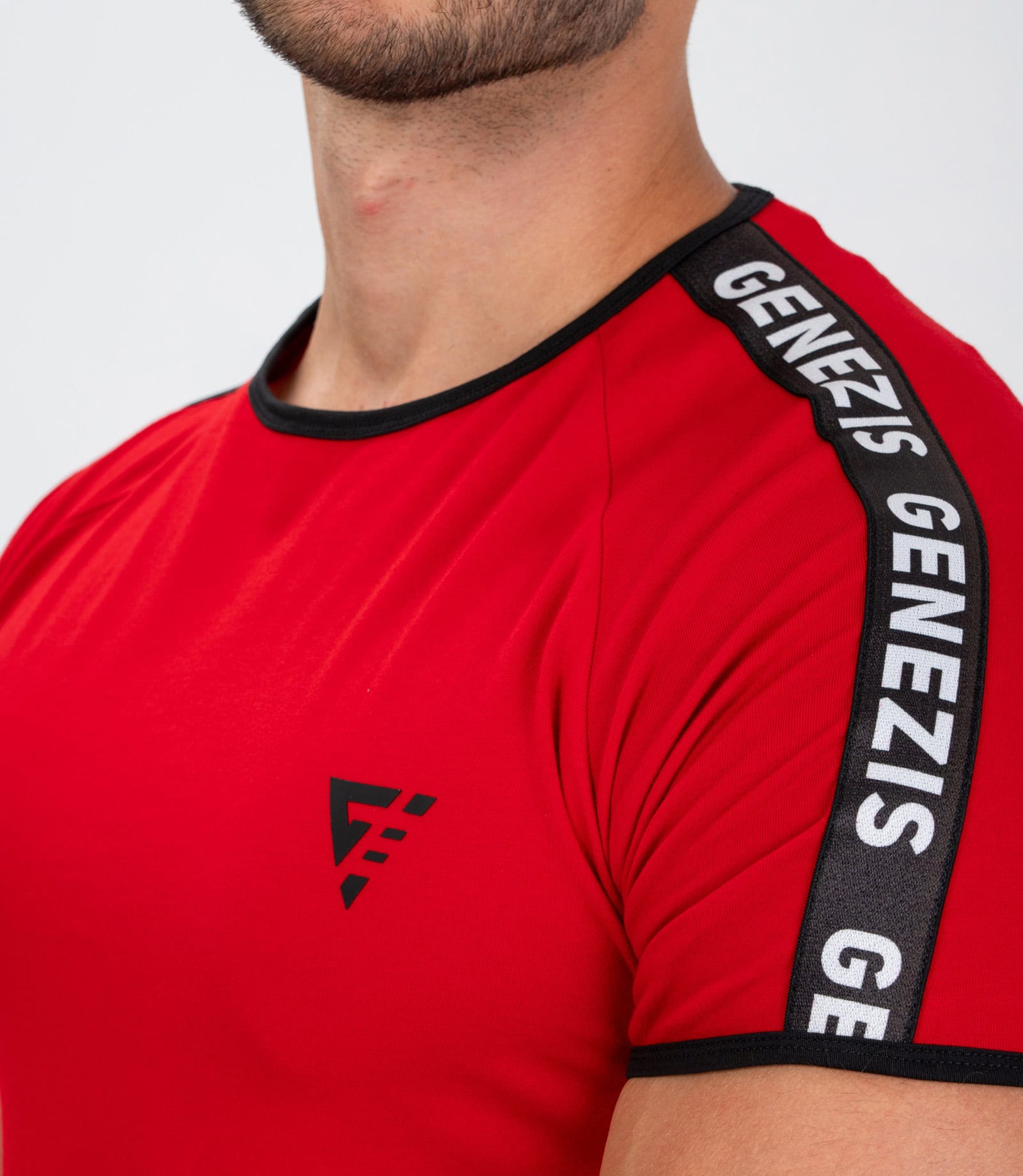 Men's T-shirt "Aventus"