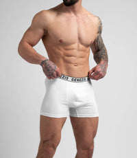 Men's boxer shorts "Genezis"