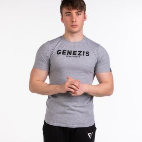Мъжка тениска "Genezis Crew", сива